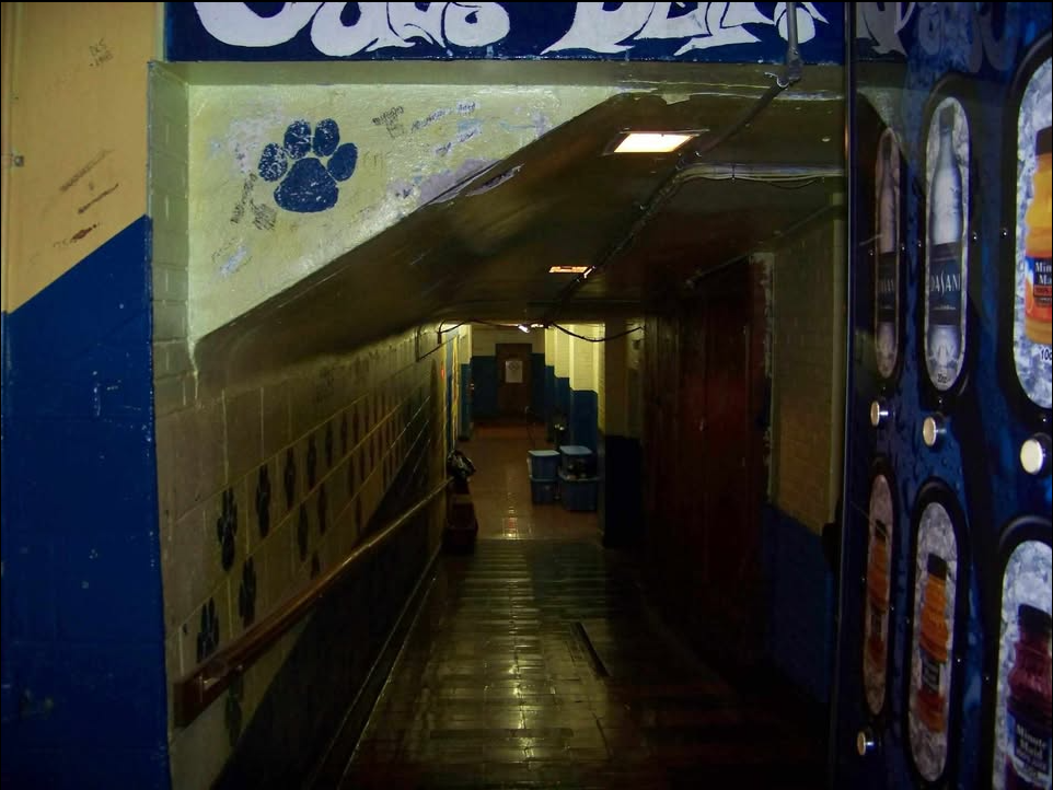 Interior hallway and steps at Iaeger High School near the gym, locker rooms, and weight room, with blue and gold walls and a Cub paw painted above the stairwell.